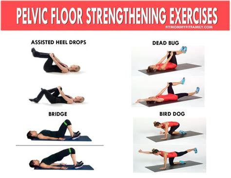 venous leak exercise|Strengthening Pelvic Floor Muscles and Addressing。